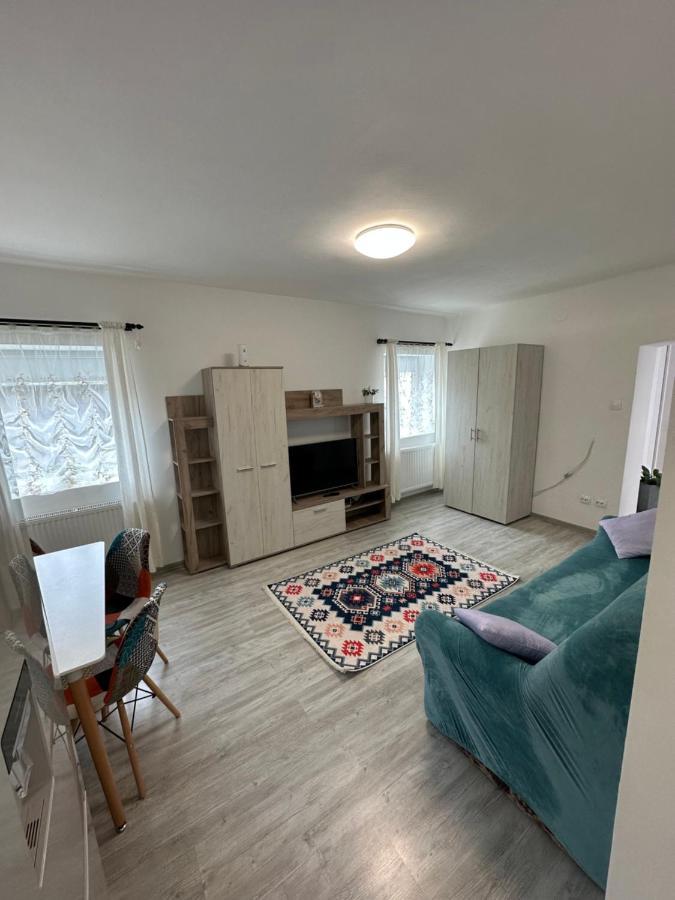 Nema S Apartment Брашов Екстер'єр фото